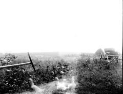 Landscape, Farm scene