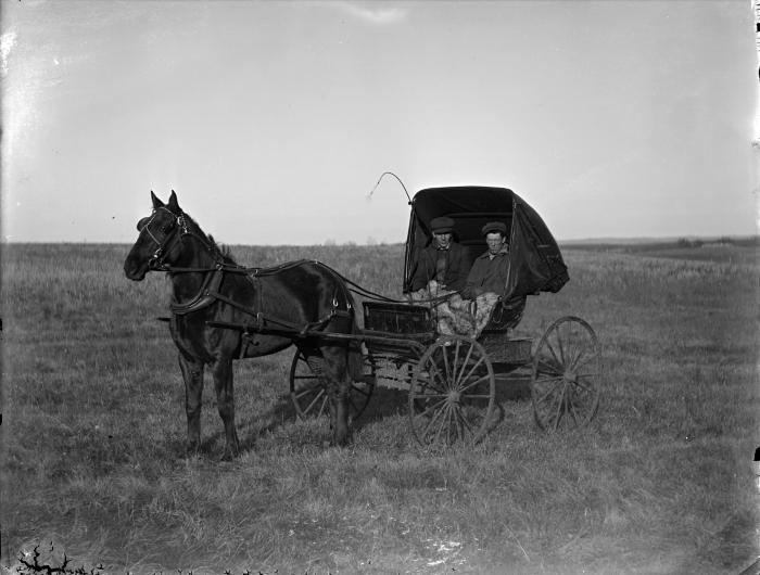 Anton Berg's buggy
