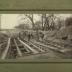 Septic tank at Glenwood Minnesota, December 1904