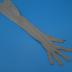 Glove, Evening