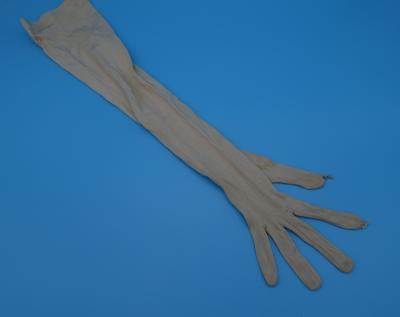 Glove, Evening