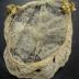 Edna Wegner Scofield's Wedding Dress and Veil