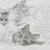 Jon Arfstrom Sketch Journal 59