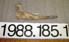 Jaw bone