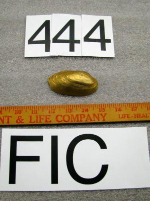 Shell