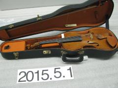 Violin