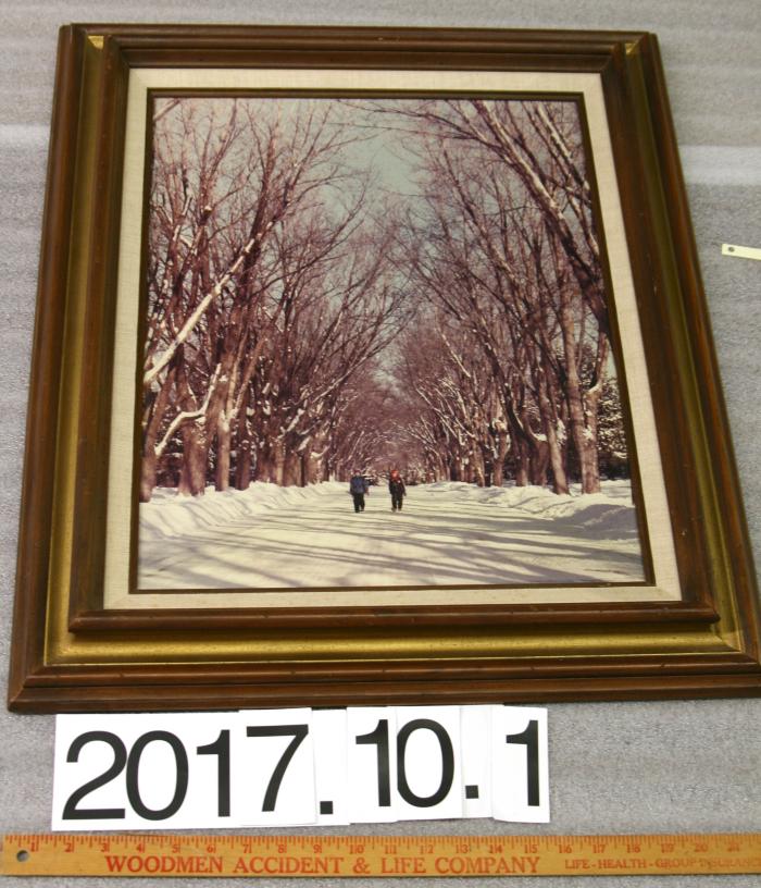 Print, Photographic