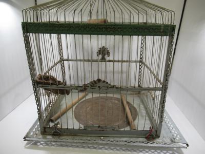 Birdcage