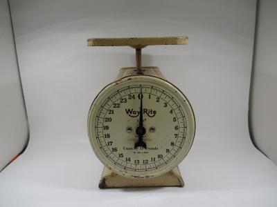 Scale, Nutritional