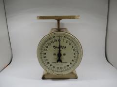 Scale, Nutritional
