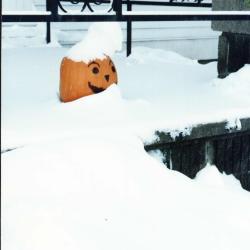 Fairs and Parades;Anoka Halloween Parade