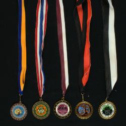 Gray Ghost Medals