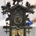 Cuckoo Clock, Nature
