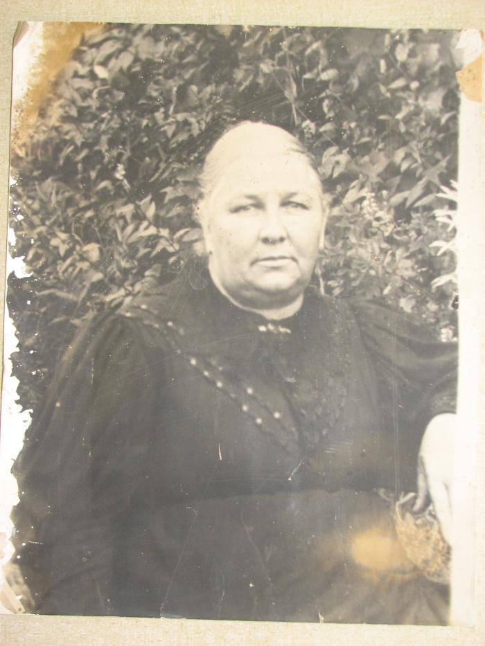 William Darwin Brainard
