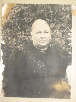 William Darwin Brainard
