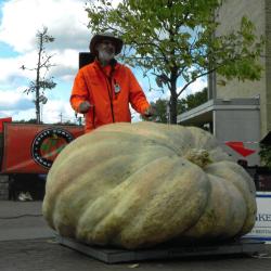 Giant Pumpkin Winner Bill Foss