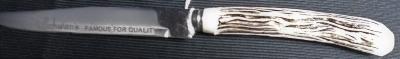 Schwan's Steak Knife