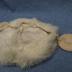 Fur Hat
