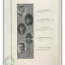 Glenwood High School 1919 yearbook "Minnewaskan" Glenwood, Minnesota