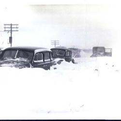 Cars Snowed In