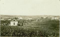 Andrew Torguson's Home