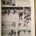Golden Valley High School Yearbook, "Viking '77, Volume 19"