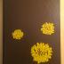 Golden Valley High School Yearbook, "Golden Valley High School, 1971-1972, Volume 14"