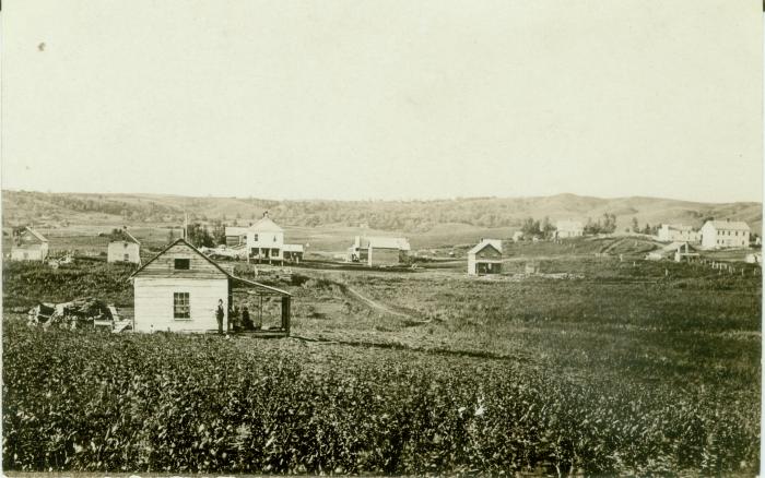 Andrew Torguson's Home