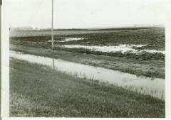 Farmland with Standing Water