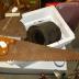 Axe donated by Mrs. Loring (Mildred) Tuckey on 8/17/70.