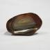 Agate