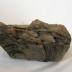 Petrified Wood