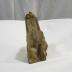 Petrified Wood
