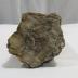 Rock