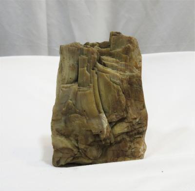 Petrified Wood