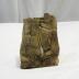 Petrified Wood