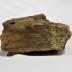 Petrified Wood