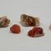 Iris Agates