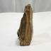 Petrified Wood