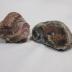 Lake Superior Agates