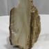 Petrified Wood