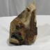 Petrified Wood