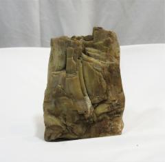 Petrified Wood