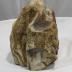 Petrified Wood