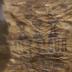 Camden Mill Feed Sack
