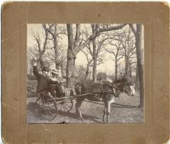 Two people in cart pulled by a burro.