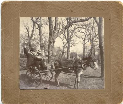 Two people in cart pulled by a burro.