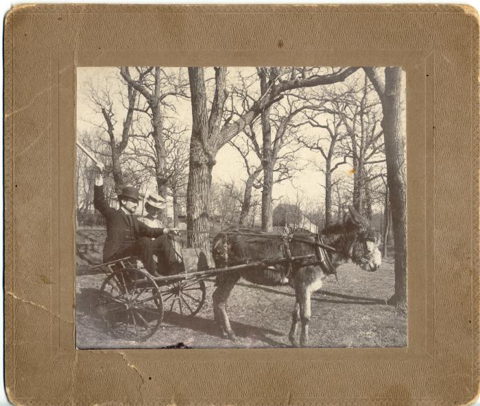 Two people in cart pulled by a burro.