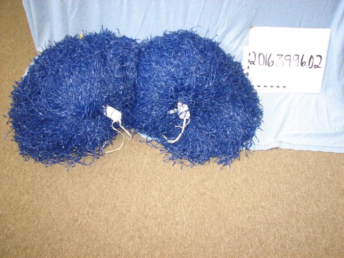 Cheerleading Pom Poms from Glenwood High School