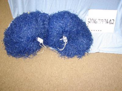 Cheerleading Pom Poms from Glenwood High School